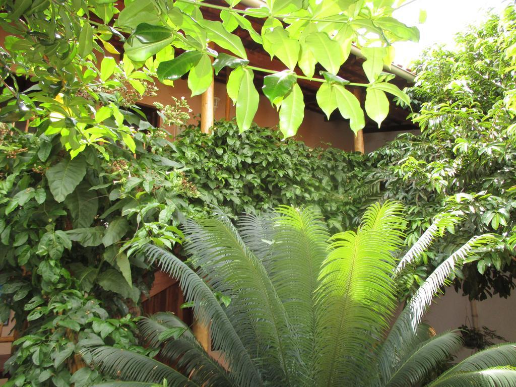Pousada Casa De Nomades Vale do Capao Kültér fotó